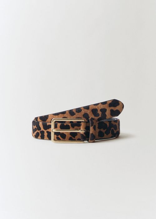 CINTURON  LEO2